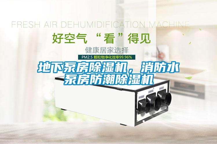 地下泵房除濕機，消防水泵房防潮除濕機