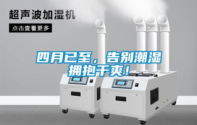 四月已至,告別潮濕擁抱干爽!