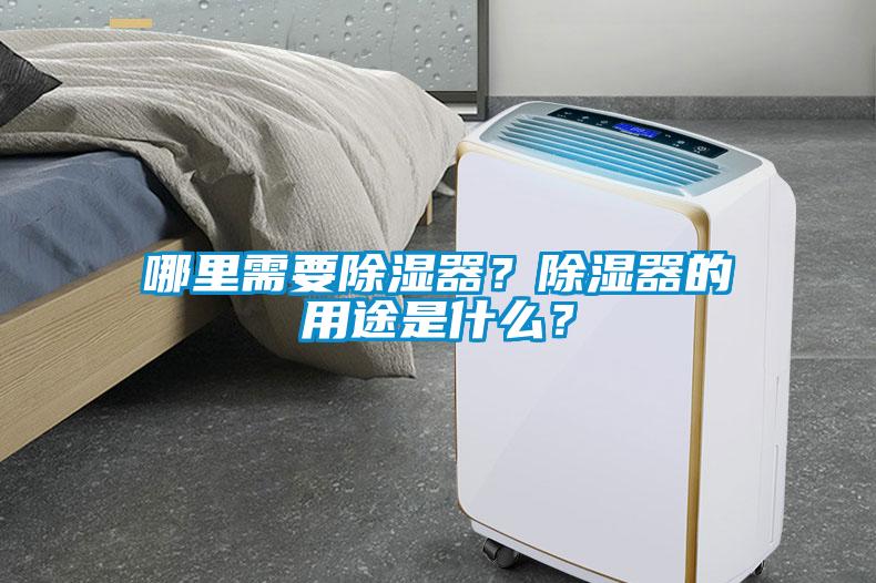 哪里需要除濕器?除濕器的用途是什么?