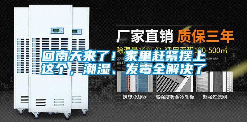 回南天來了！家里趕緊擺上這個，潮濕、發霉全解決了