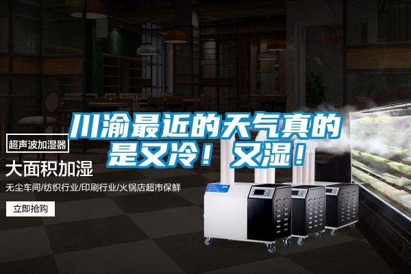 川渝最近的天氣真的是又冷!又濕!