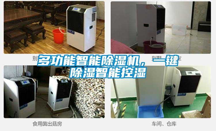 多功能智能除濕機，一鍵除濕智能控濕