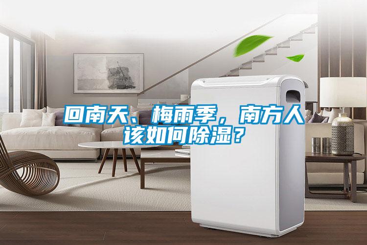 回南天、梅雨季，南方人該如何除濕？