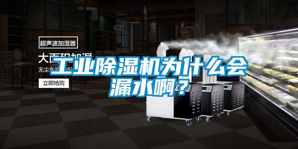 工業除濕機為什么會漏水啊？