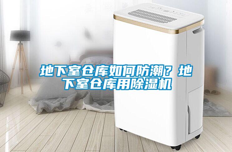 地下室倉庫如何防潮？地下室倉庫用除濕機