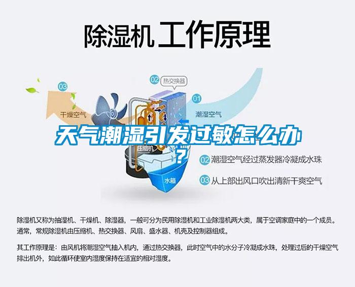 天氣潮濕引發過敏怎么辦?