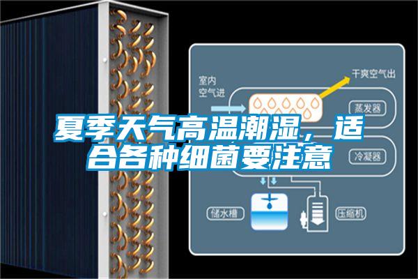 夏季天氣高溫潮濕,適合各種細菌要注意