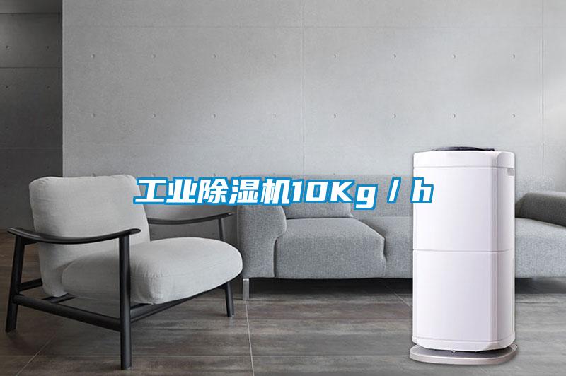 工業除濕機10Kg/h