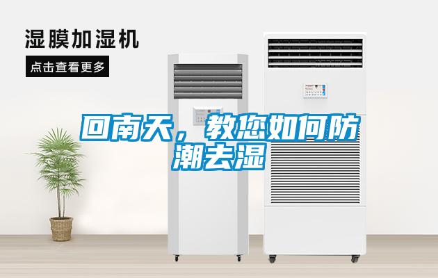 回南天,教您如何防潮去濕