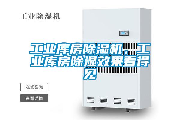 工業(yè)庫房除濕機(jī)，工業(yè)庫房除濕效果看得見