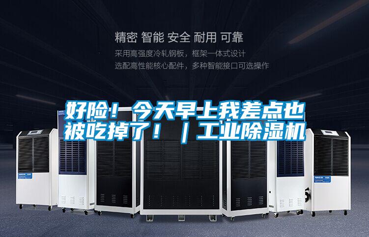 好險(xiǎn)!今天早上我差點(diǎn)也被吃掉了!|工業(yè)除濕機(jī)