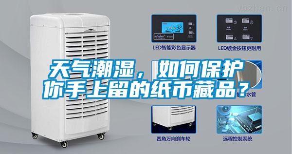天氣潮濕,如何保護你手上留的紙幣藏品?