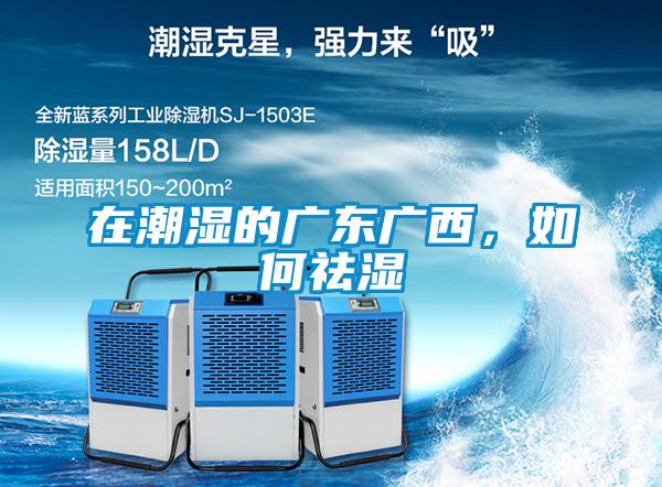 在潮濕的廣東廣西,如何祛濕