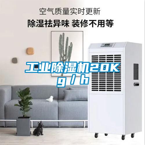 工業除濕機20Kg/h