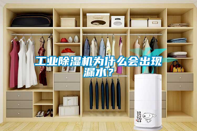 工業(yè)除濕機為什么會出現(xiàn)漏水?