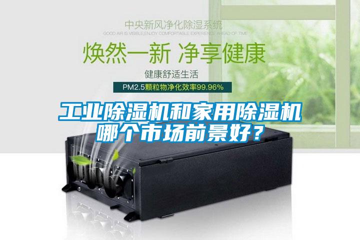 工業(yè)除濕機(jī)和家用除濕機(jī)哪個市場前景好？