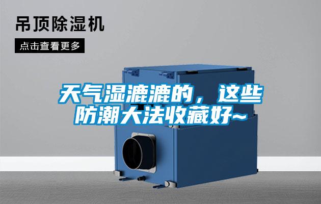 天氣濕漉漉的，這些防潮大法收藏好~