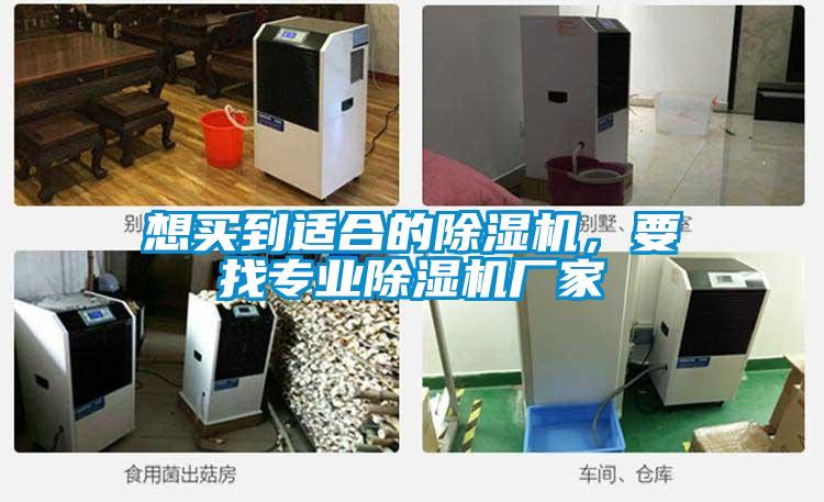想買到適合的除濕機(jī),要找專業(yè)除濕機(jī)廠家