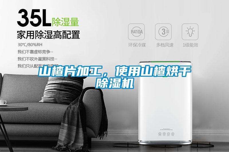 山楂片加工,使用山楂烘干除濕機(jī)