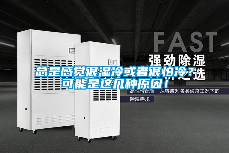 總是感覺很濕冷或者很怕冷?可能是這幾種原因!