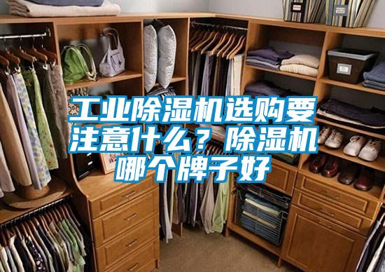 工業除濕機選購要注意什么?除濕機哪個牌子好