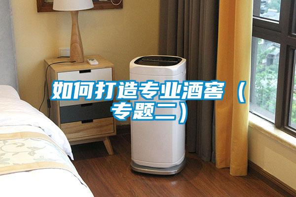 如何打造專業酒窖(專題二)