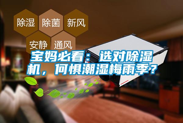 寶媽必看:選對(duì)除濕機(jī),何懼潮濕梅雨季?