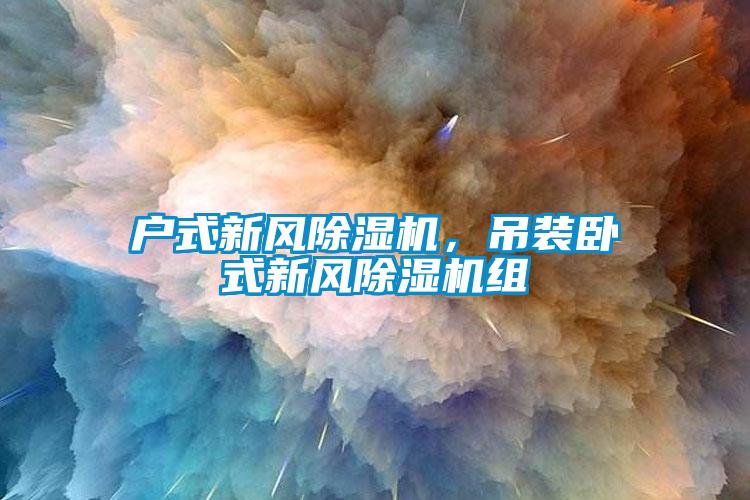 戶式新風除濕機，吊裝臥式新風除濕機組