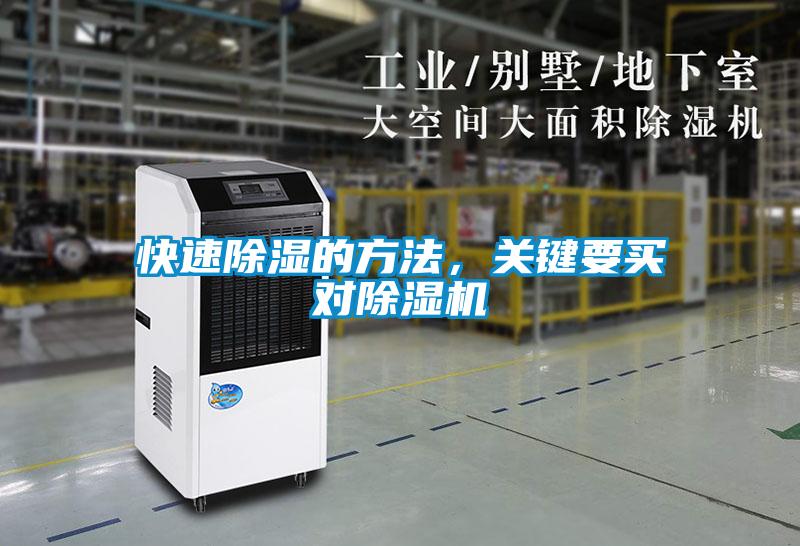 快速除濕的方法，關鍵要買對除濕機
