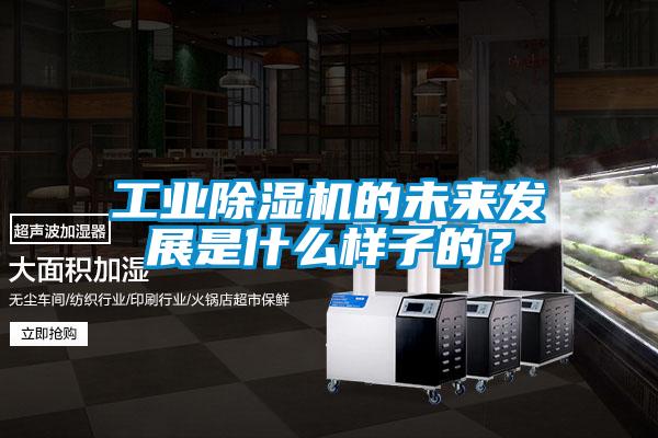 工業(yè)除濕機(jī)的未來發(fā)展是什么樣子的？