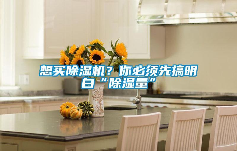 想買除濕機(jī)?你必須先搞明白“除濕量”