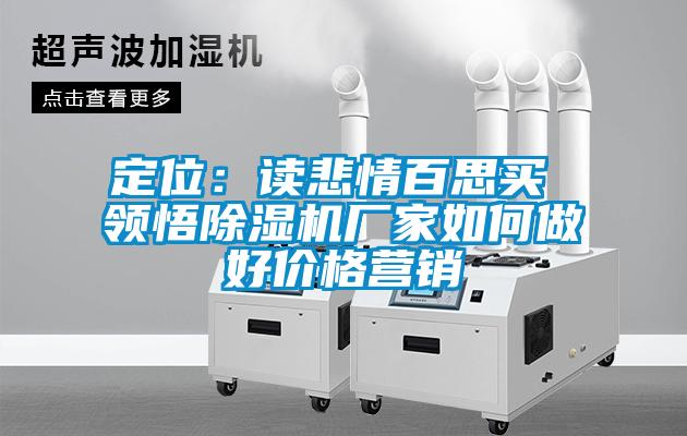 定位:讀悲情百思買 領悟除濕機廠家如何做好價格營銷
