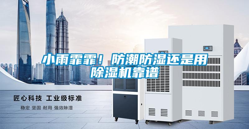小雨霏霏!防潮防濕還是用除濕機靠譜