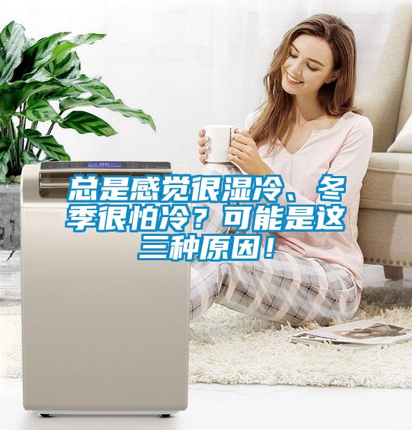 總是感覺(jué)很濕冷、冬季很怕冷?可能是這三種原因!