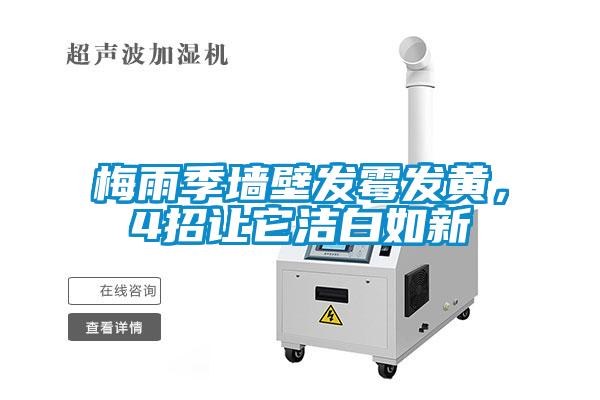梅雨季墻壁發(fā)霉發(fā)黃,4招讓它潔白如新