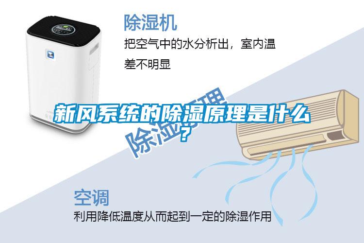 新風(fēng)系統(tǒng)的除濕原理是什么?