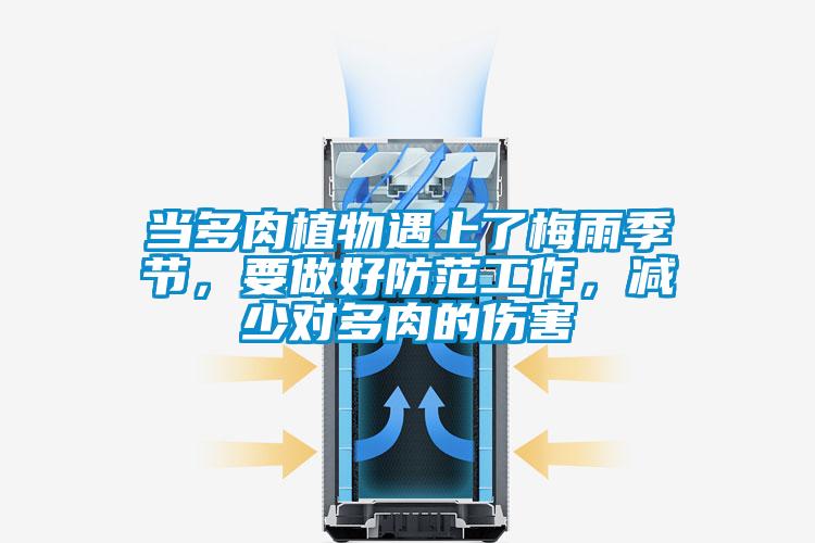 當(dāng)多肉植物遇上了梅雨季節(jié),要做好防范工作,減少對(duì)多肉的傷害