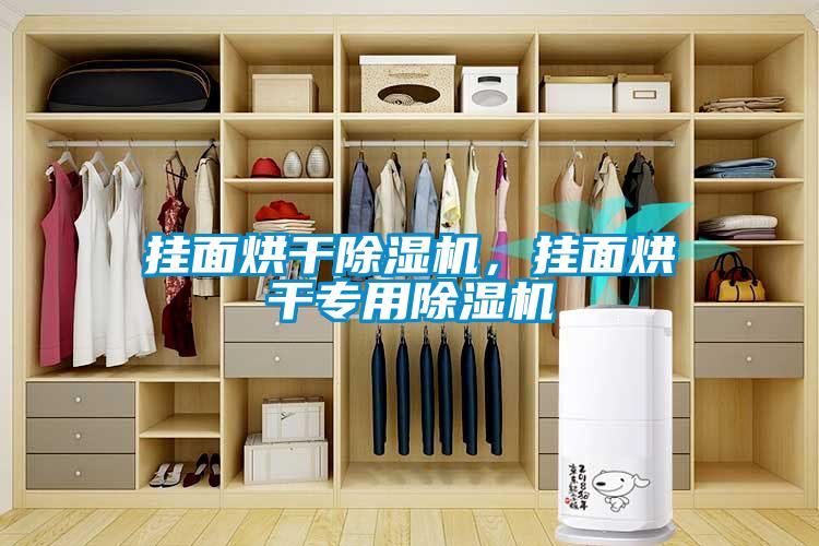 掛面烘干除濕機(jī),掛面烘干專用除濕機(jī)