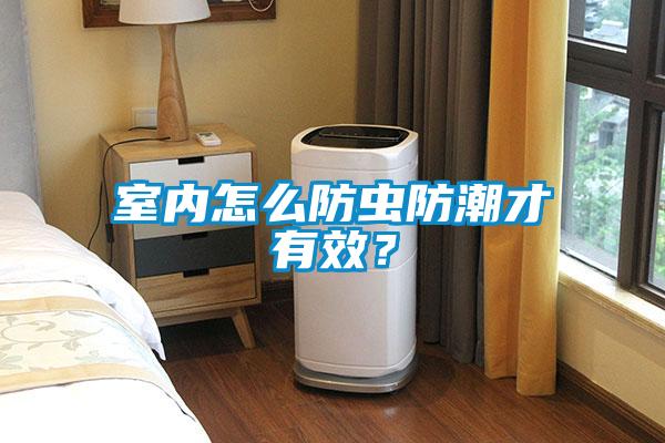 室內(nèi)怎么防蟲防潮才有效?
