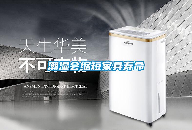 潮濕使木耳產生毒素,快使用除濕機除濕