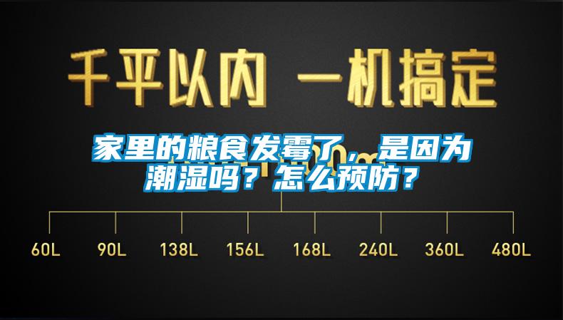 家里的糧食發霉了，是因為潮濕嗎？怎么預防？