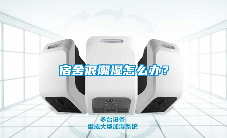 宿舍很潮濕怎么辦?