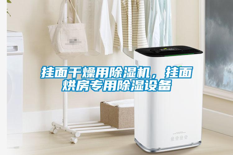 掛面干燥用除濕機,掛面烘房專用除濕設備