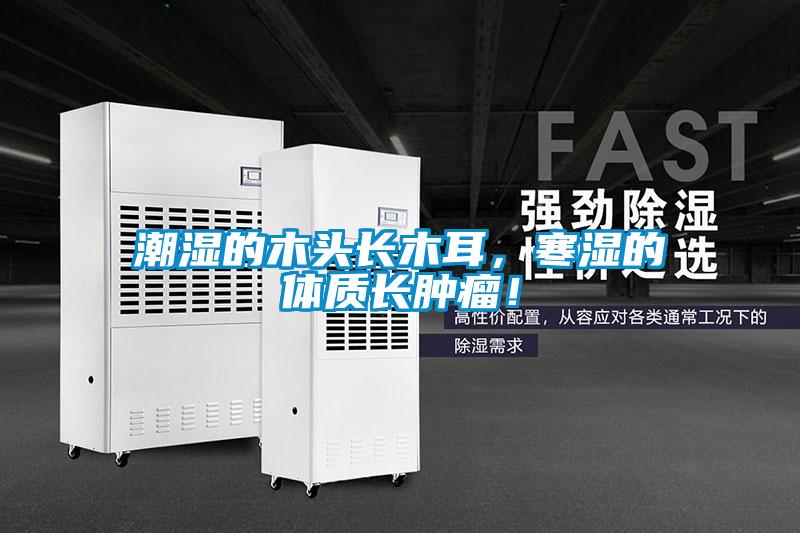 潮濕的木頭長木耳，寒濕的體質(zhì)長腫瘤！