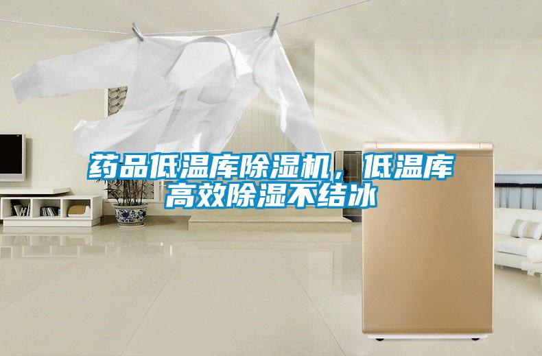 藥品低溫庫除濕機,低溫庫高效除濕不結(jié)冰