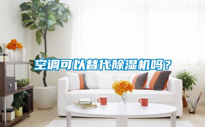 空調(diào)可以替代除濕機(jī)嗎?