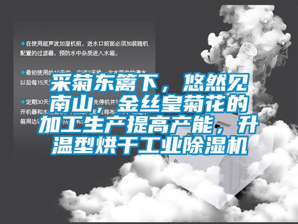 采菊東籬下,悠然見南山,金絲皇菊花的加工生產(chǎn)提高產(chǎn)能,升溫型烘干工業(yè)除濕機