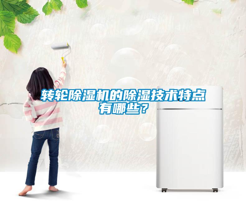 轉輪除濕機的除濕技術特點有哪些?