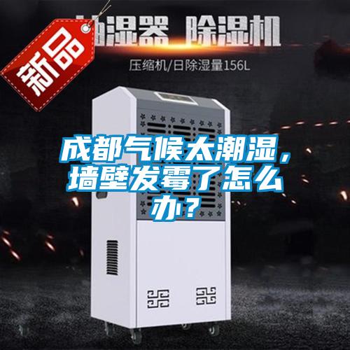 成都氣候太潮濕,墻壁發霉了怎么辦?