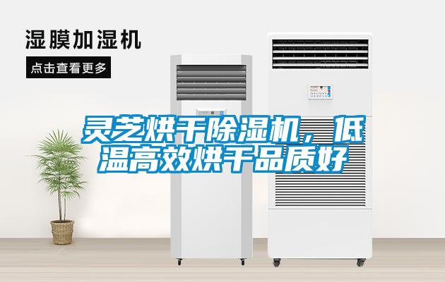 靈芝烘干除濕機，低溫高效烘干品質好